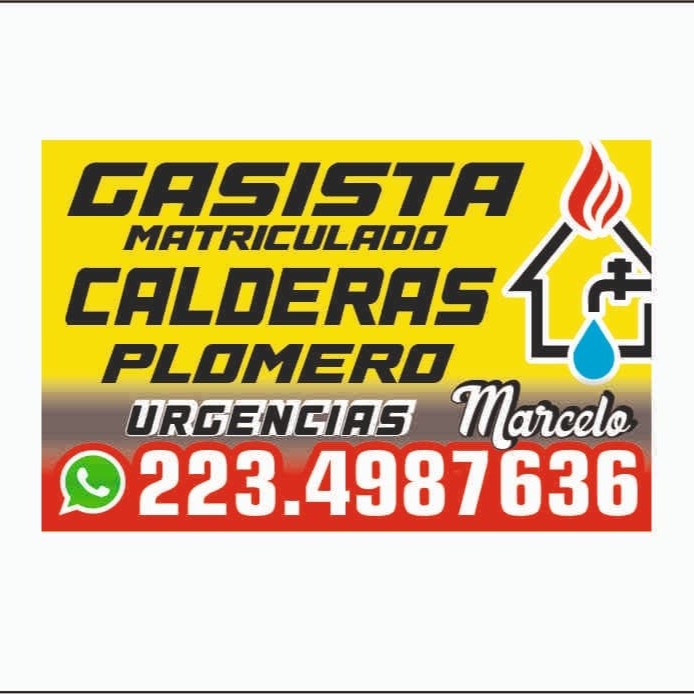 Foto de perfil de Marcelo Ramos